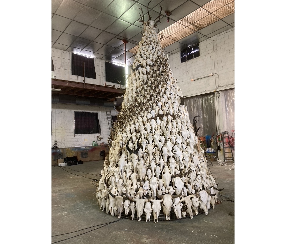 <img alt="" src="/images/f/6/9/0/5/f690552b47843edb42aef40025c1cbbc2a292881-0e30657f-dc05-4bab-b927-1229067eb9d21105c.jpeg?name" />