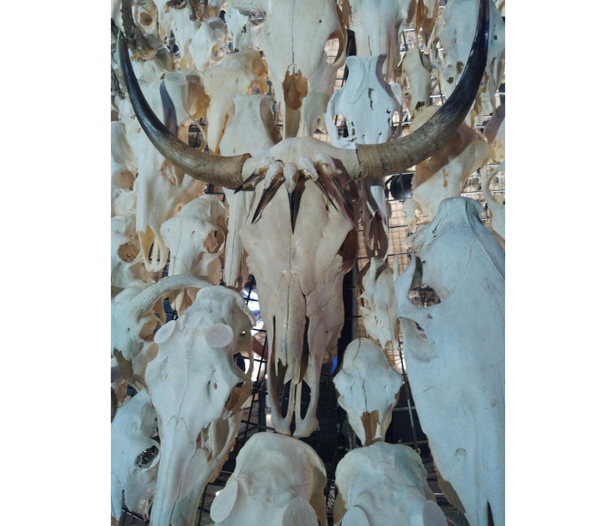 <img alt="" src="/images/7/3/1/9/f/7319f74d5ef23be7aabfc062c90fdd222addc18e-e2f6057a-e69e-424f-b136-949da5fcd8091105c.jpeg?name" />