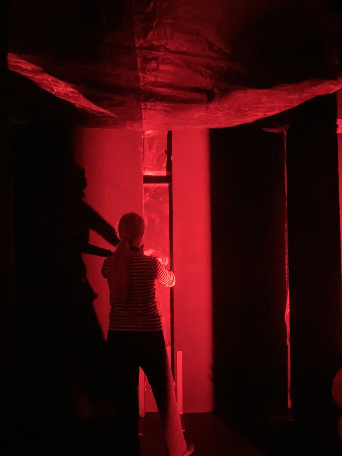 <img alt="" src="/images/8/6/8/0/e/8680ec93459b1228154c2172297c5ed963e36e90-img0283.jpg?name" />