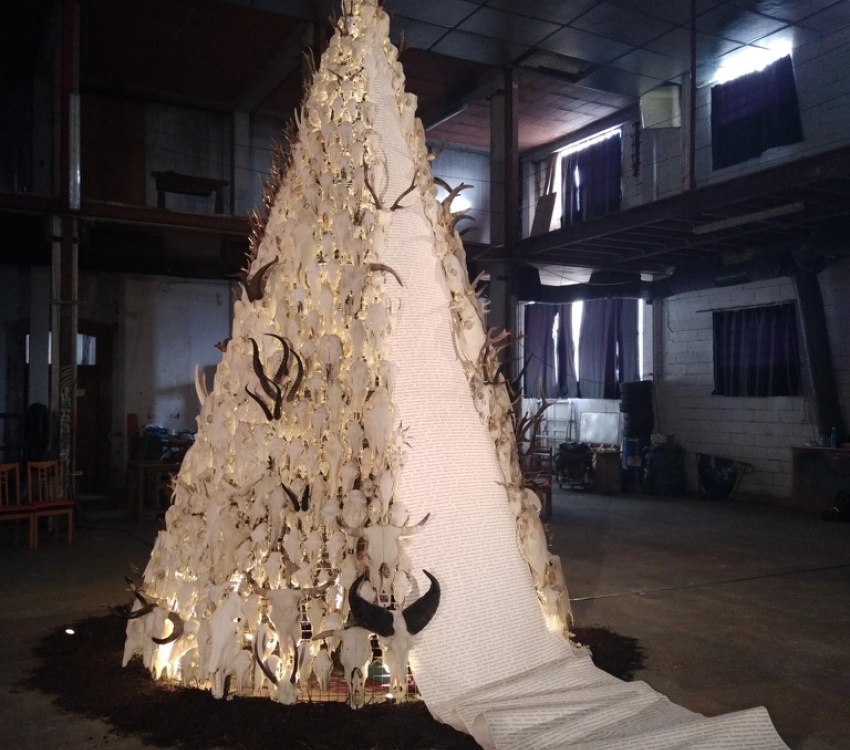 ICI lumière sur les espèces éteintes