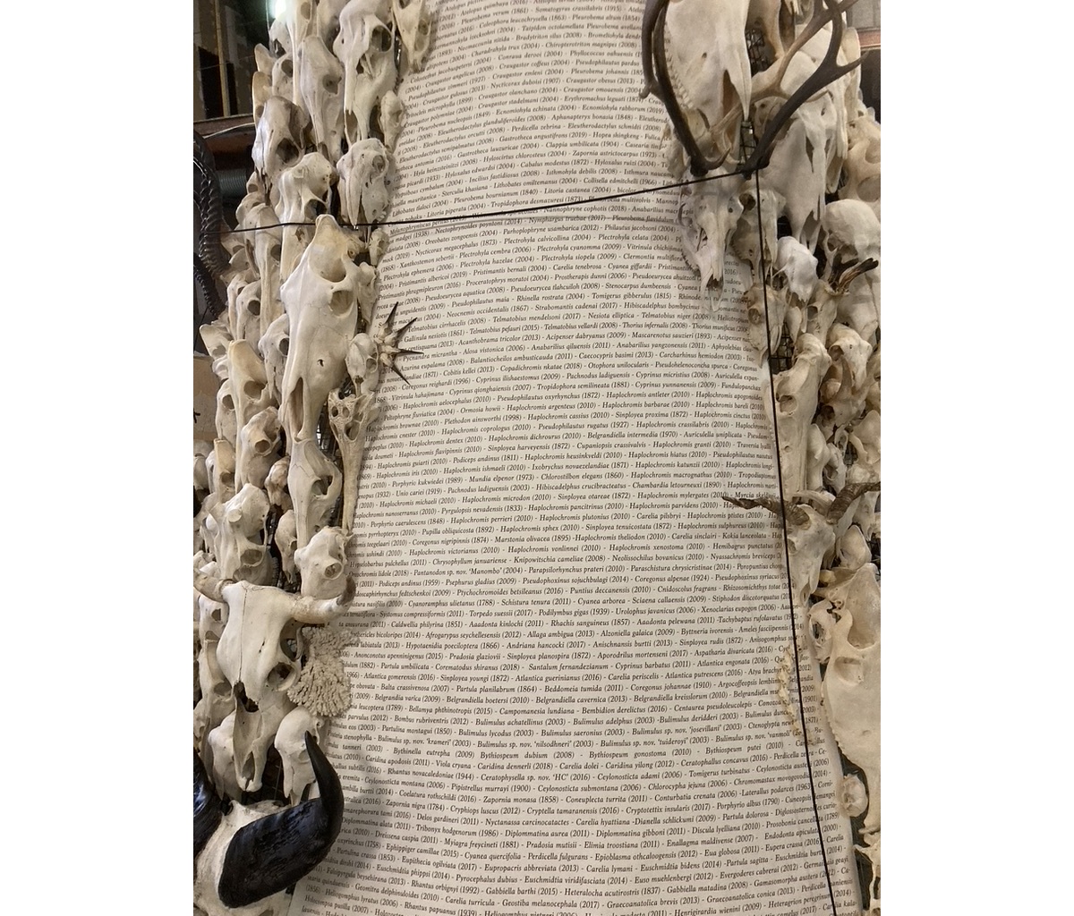 <img alt="" src="/images/a/f/0/0/1/af001d9f0b55489c532331c16ba950c9d94d6f8c-0f492df1-cc64-4598-a526-577ff54530001105c.jpeg?name" />