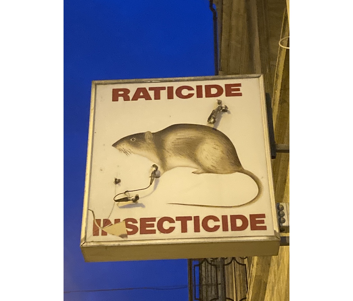 <img alt="" src="/images/d/b/6/2/4/db62456bdf78a5cd72c7f3d05ea0521b6c1628b9-rats.jpeg?name" />
