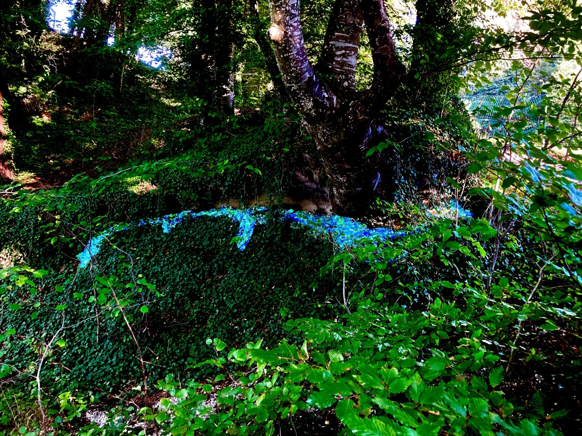 <img alt="" src="/images/a/7/a/b/2/a7ab240b1a9f4ff26bb83a441bfe78a94952c548-img0846.jpg?name" />