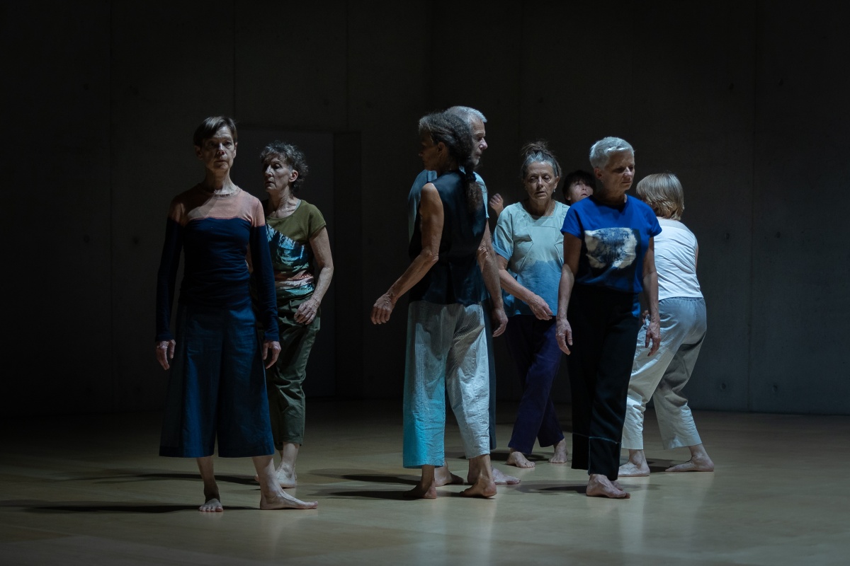 <img alt="" src="/images/3/4/4/8/6/3448667ad0e60d0c10048f38b2395e6522920a73-dancemeto-theend-25neu-7.jpg?name" />