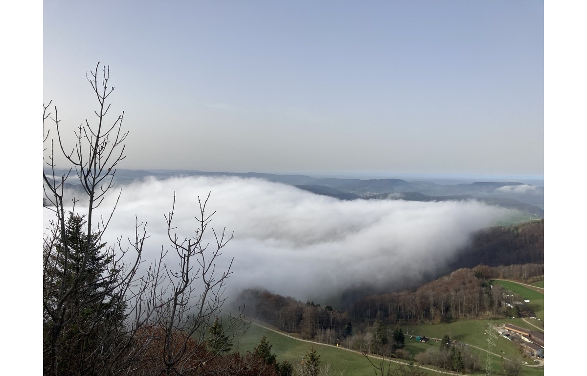 <img alt="" src="/images/b/6/1/b/4/b61b436394727b036ecbe13e11991cf2bc01621c-draussen5.jpeg?name" />