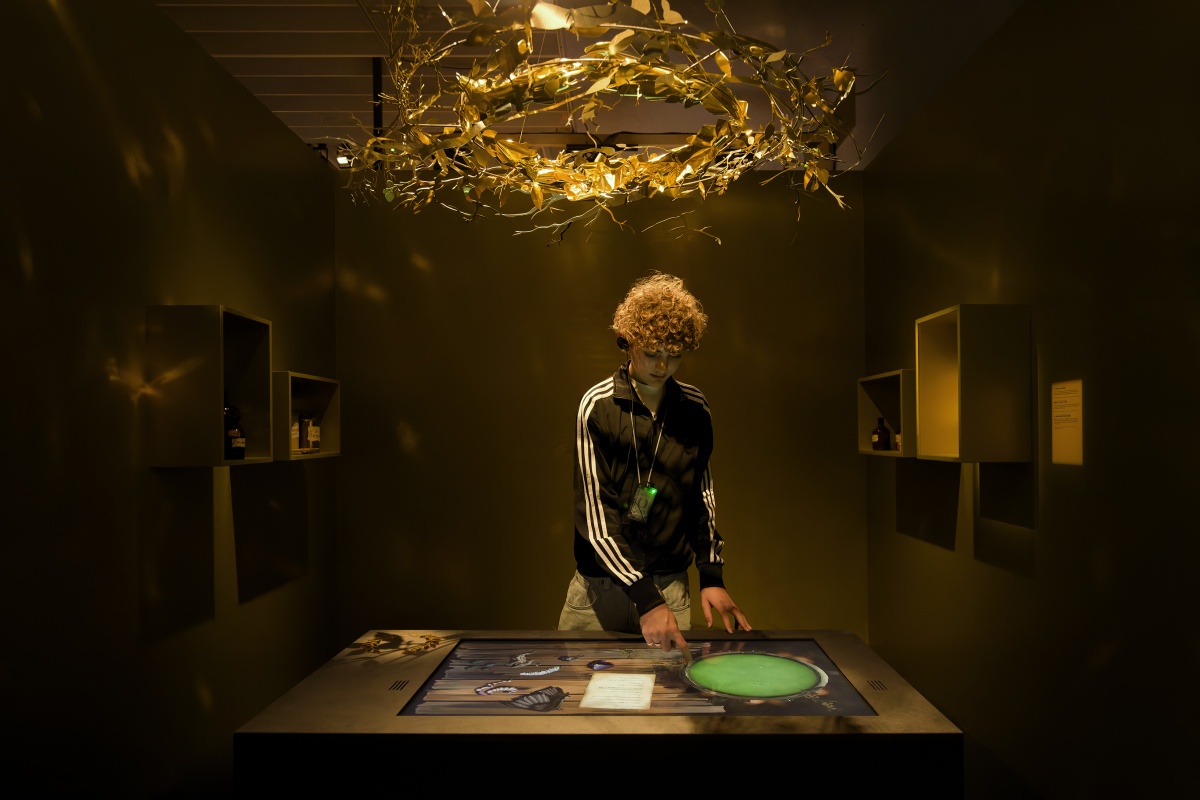 <img alt="" src="/images/3/1/9/3/4/319349859f6effcd7bb122208d63614e1bedcbb0-flavia-schaub55a8643midres.jpg?name" />