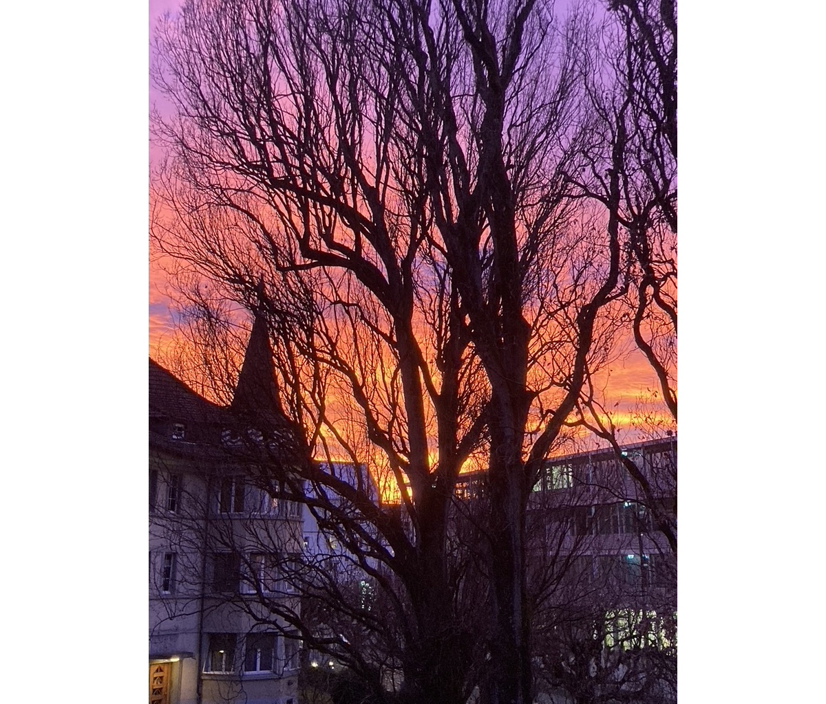 <img alt="" src="/images/3/9/b/6/f/39b6f786bdc076e818a9b2400ba9dbb1e96c8781-firesky.jpeg?name" />