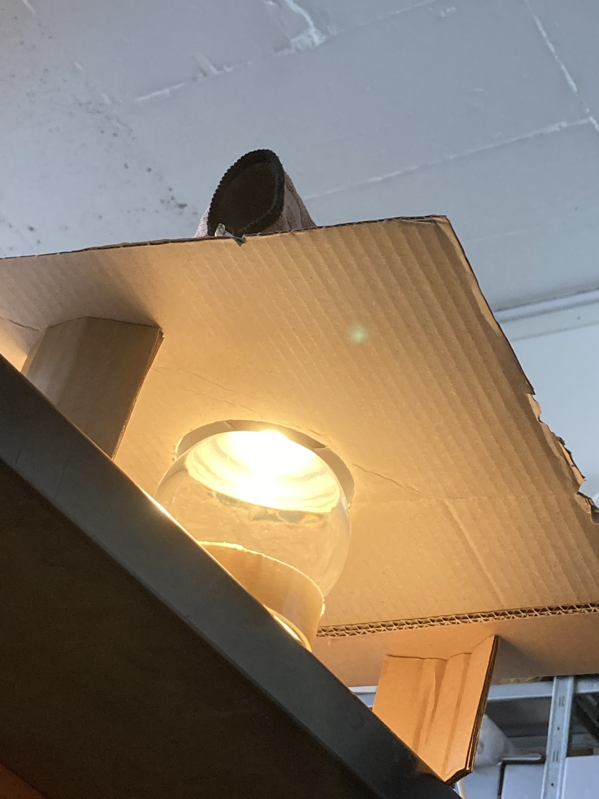 <img alt="" src="/images/8/a/6/a/d/8a6adf952b8ca117710c890155a88c5bd4170bd0-kugell.jpg?name" />