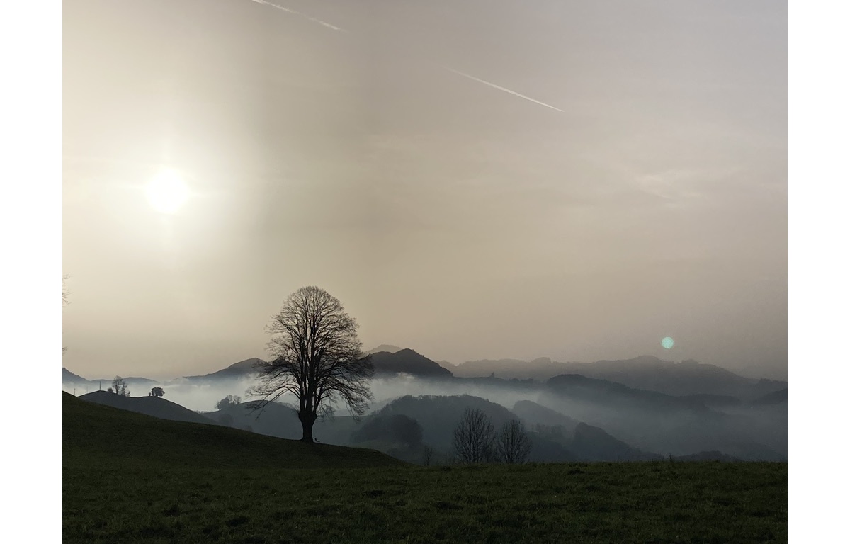 <img alt="" src="/images/7/e/c/6/1/7ec6106dd74a8b92381c2b4a9aec6aeea317135b-draussen6.jpeg?name" />