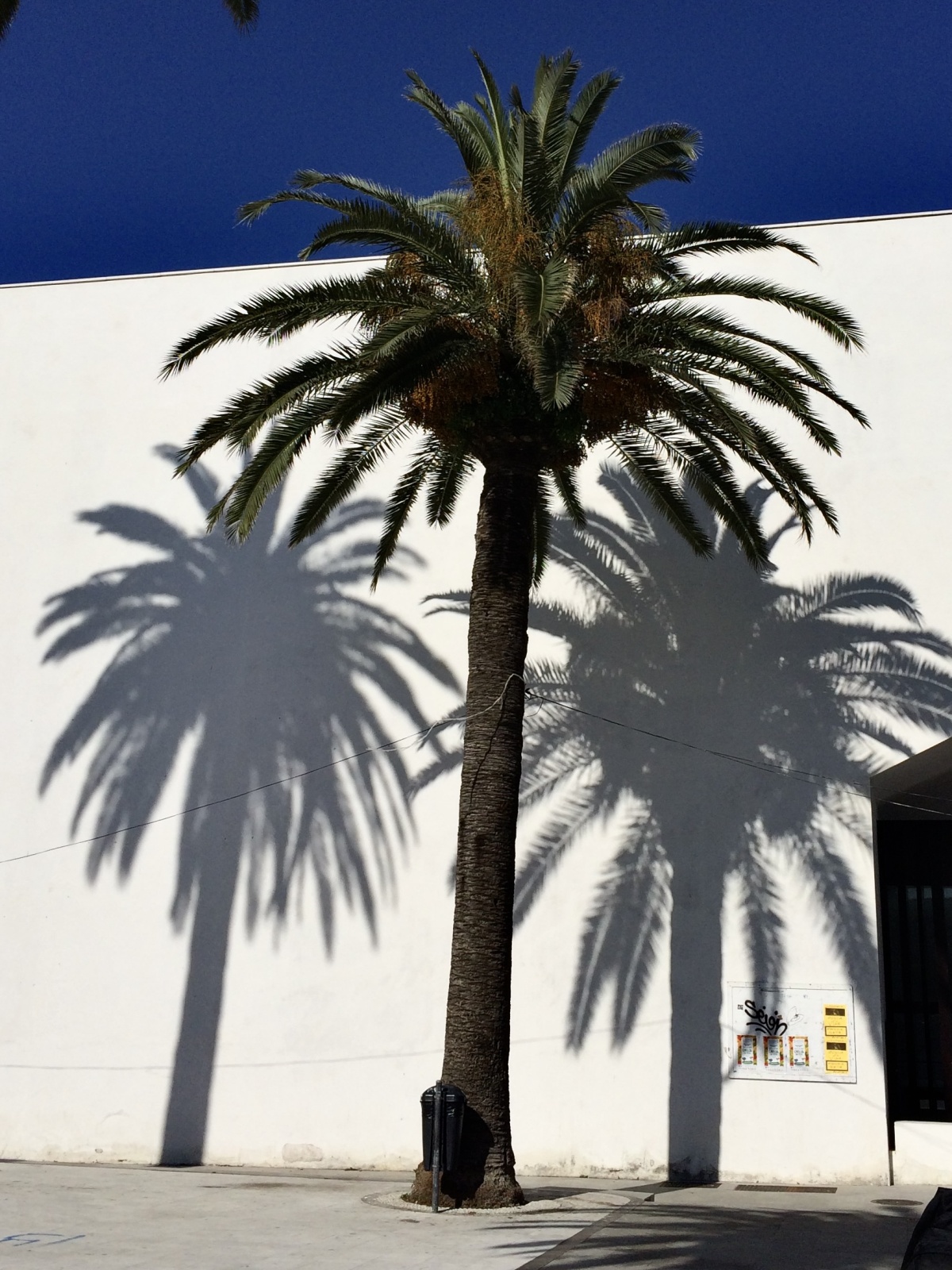 <img alt="" src="/images/3/d/e/d/d/3dedd7609bb19629aa7d78420fadb2ae0fc54e66-3er7.jpeg?name" />