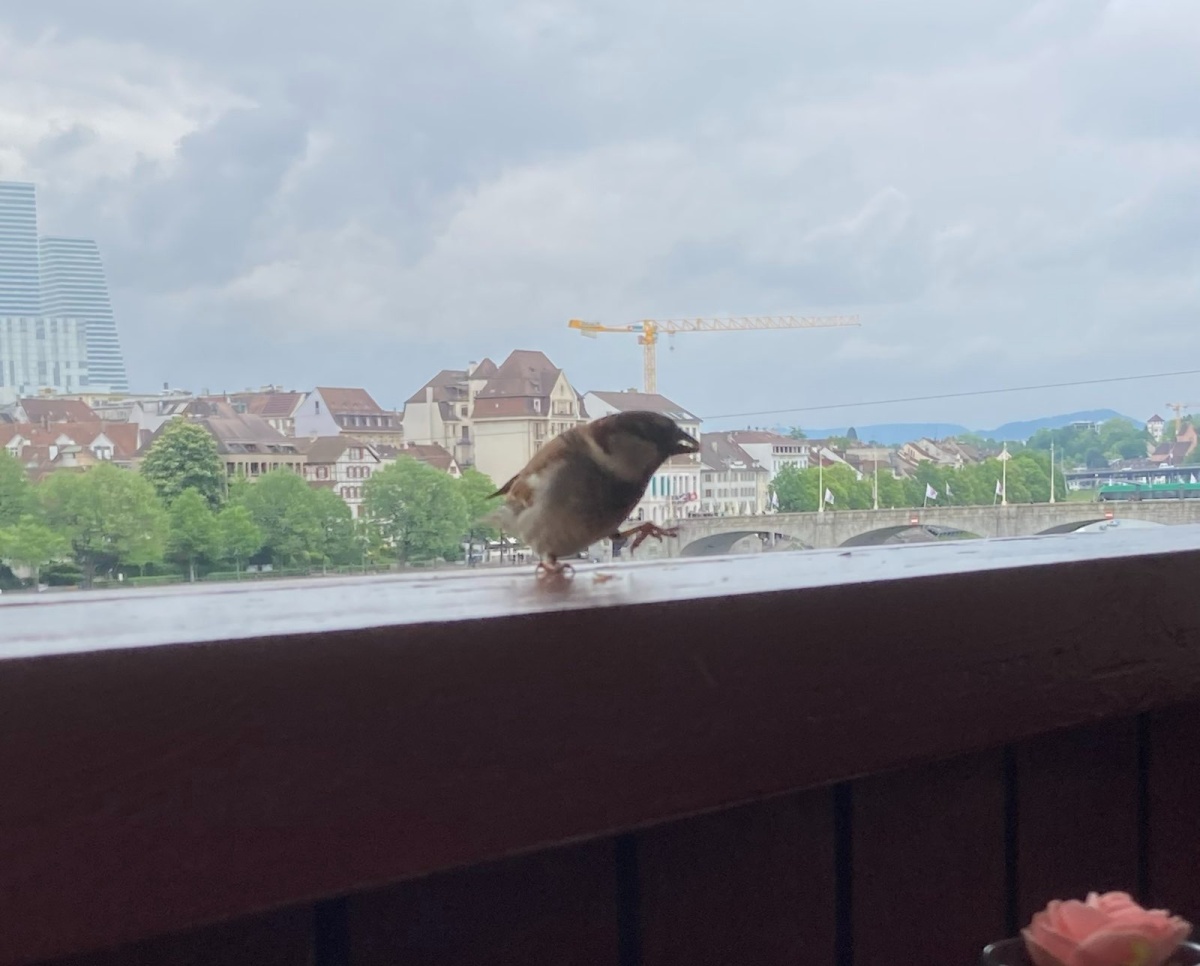 <img alt="" src="/images/c/0/0/9/4/c00942f058d00825cecb4f9b883e14fd26ded62c-unterwegs5.jpg?name" />