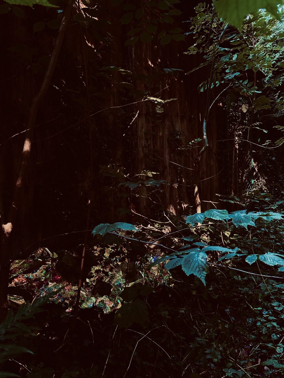 <img alt="" src="/images/b/4/b/4/9/b4b49ee9168b575ca5c2a8dcd5e550cd25441cd0-img4464.jpg?name" />