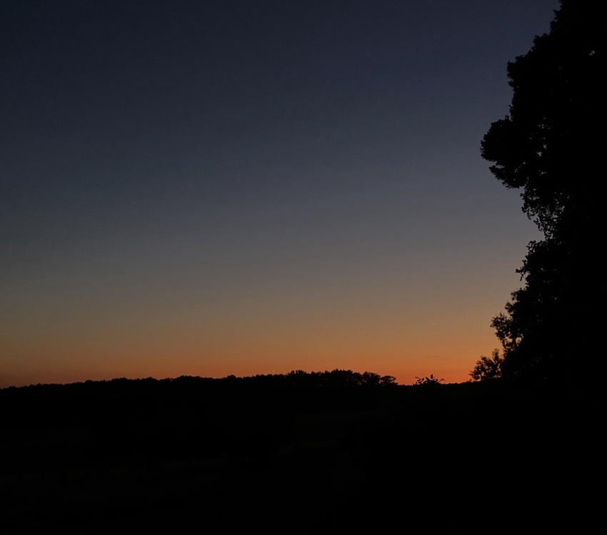 <img alt="" src="/images/7/4/2/6/5/7426541d5d09109d16ccd453b4e19848cf161ef7-draussen.jpg?title" />